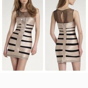 BCBGMaxAzria Champagne and Black Striped Mesh-Yoke Mini Dress
